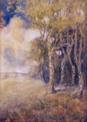 Field and Forest