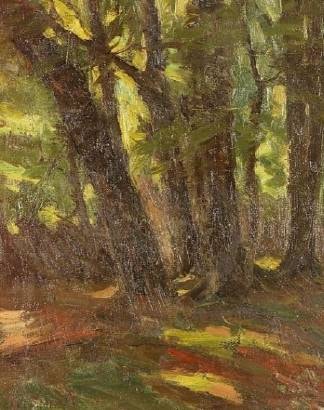 Forest Interior