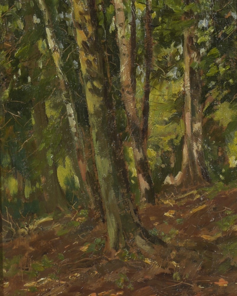 Forest Interior