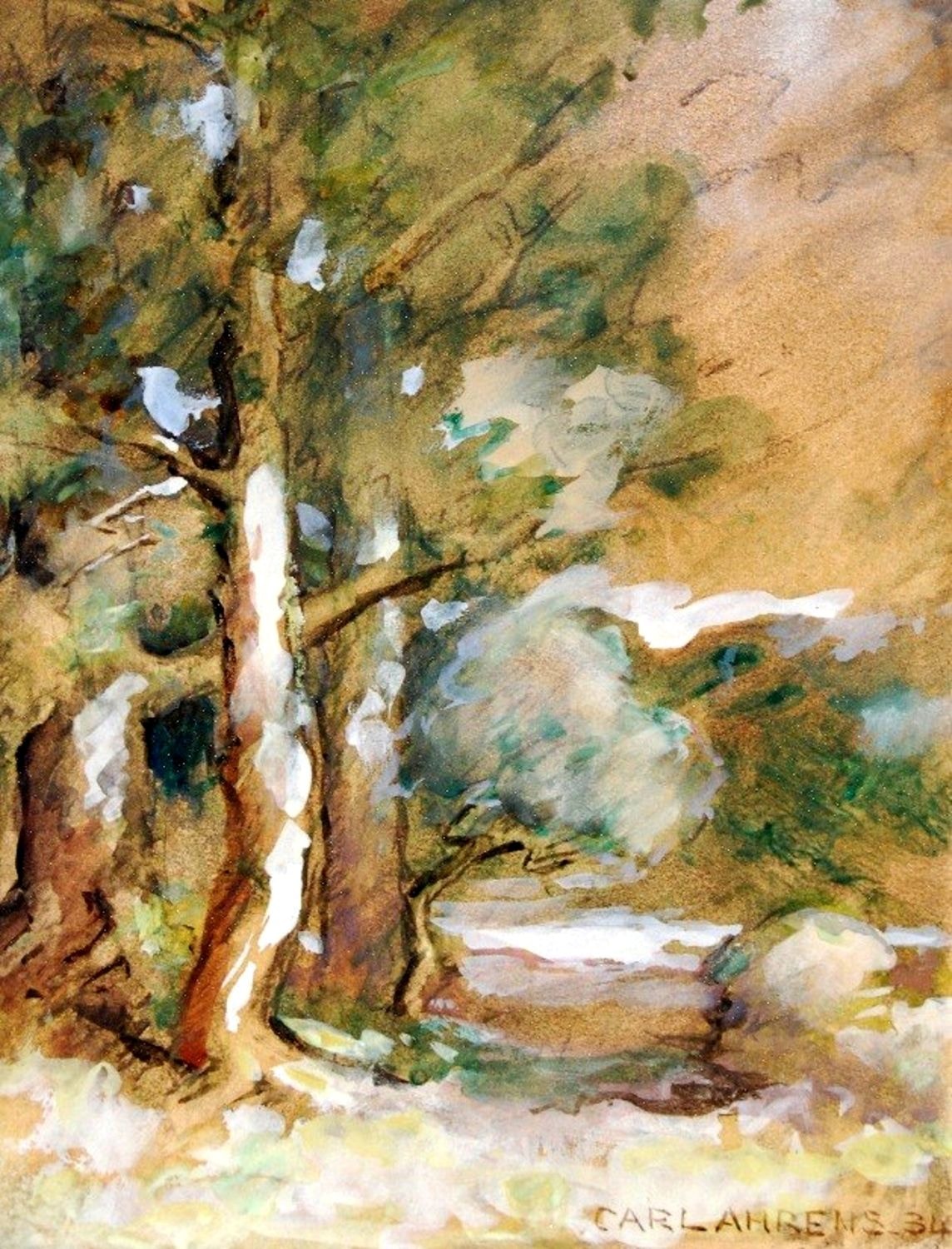 Path in the Woods