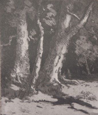 In the Woods / Tree Roots 1933
