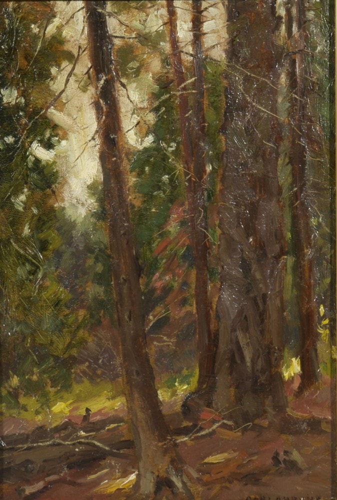 Untitled Forest Interior