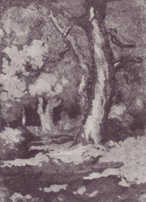 Wooded Landscape with Turkeys