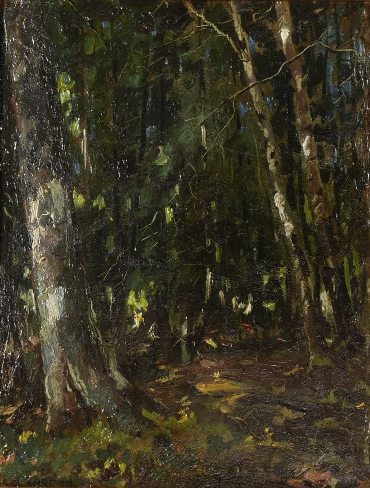 Woodland Path