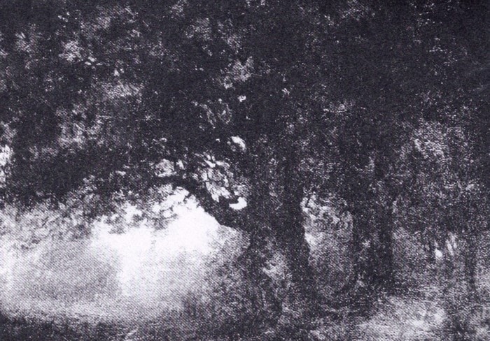 The Wooded Lane