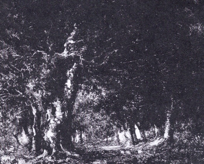 The Woods
