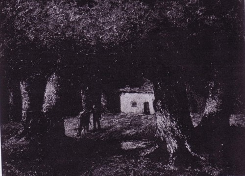 Small house visible through a shadowed woodland clearing