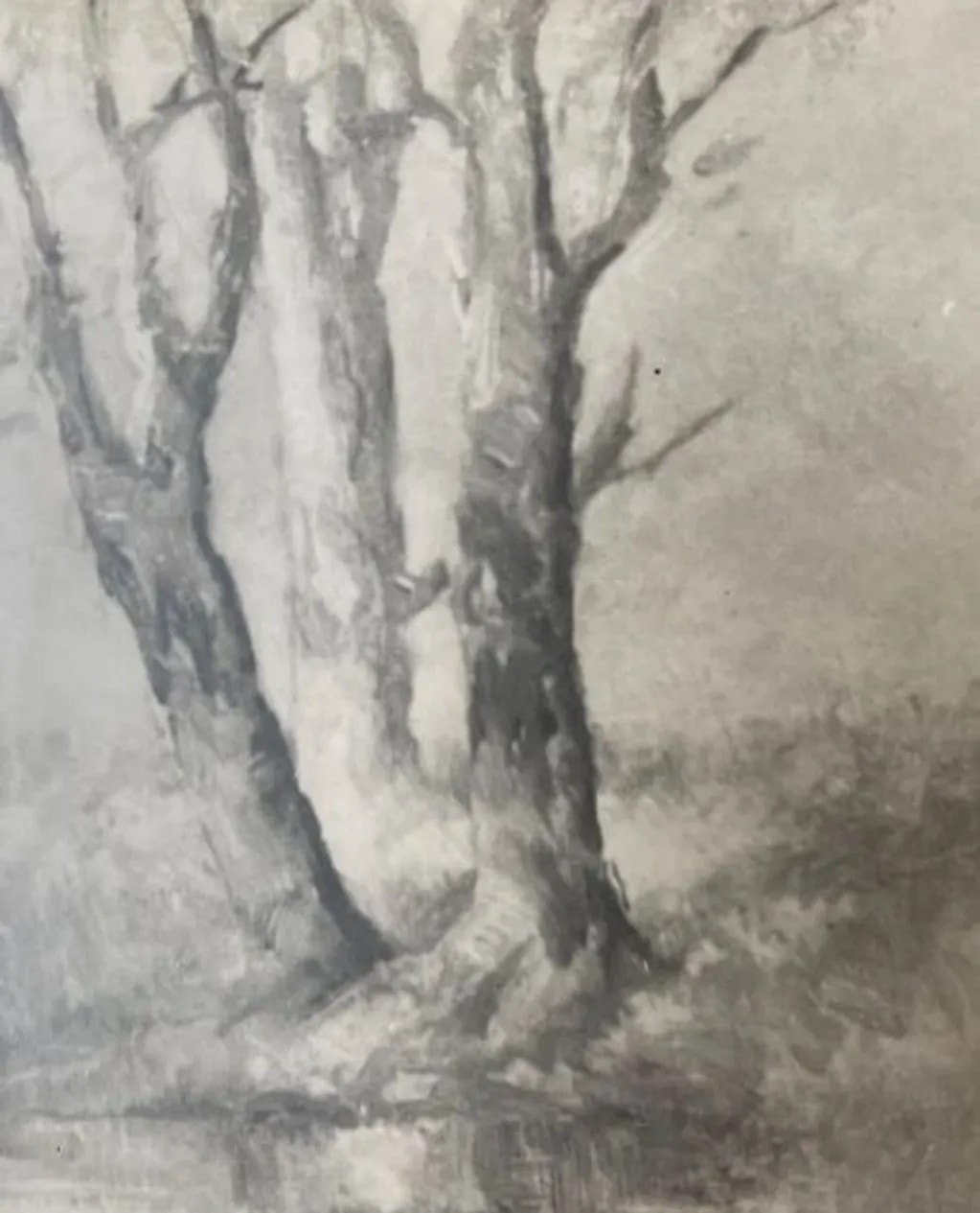 Monochrome study of three trees beside a pool