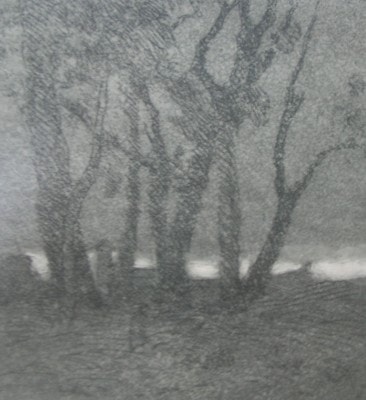 Clump of Trees — drypoint and aquatint with surface tone by Carl Ahrens