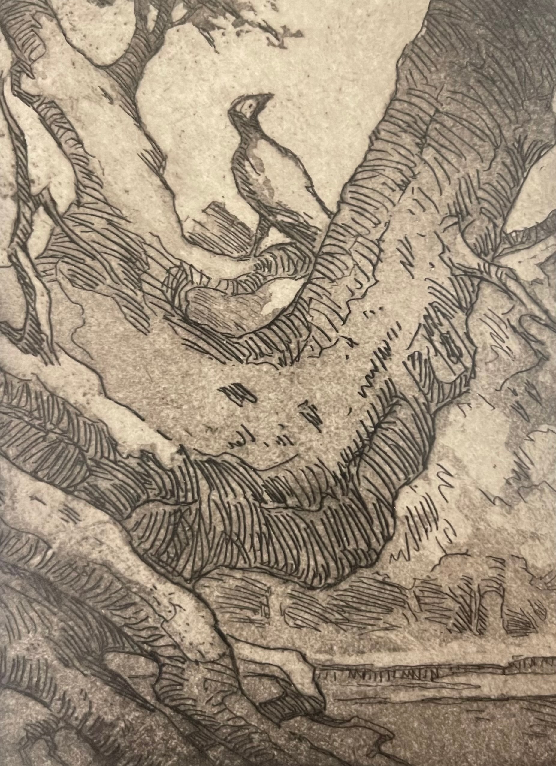 The Crow — etching by Carl Ahrens