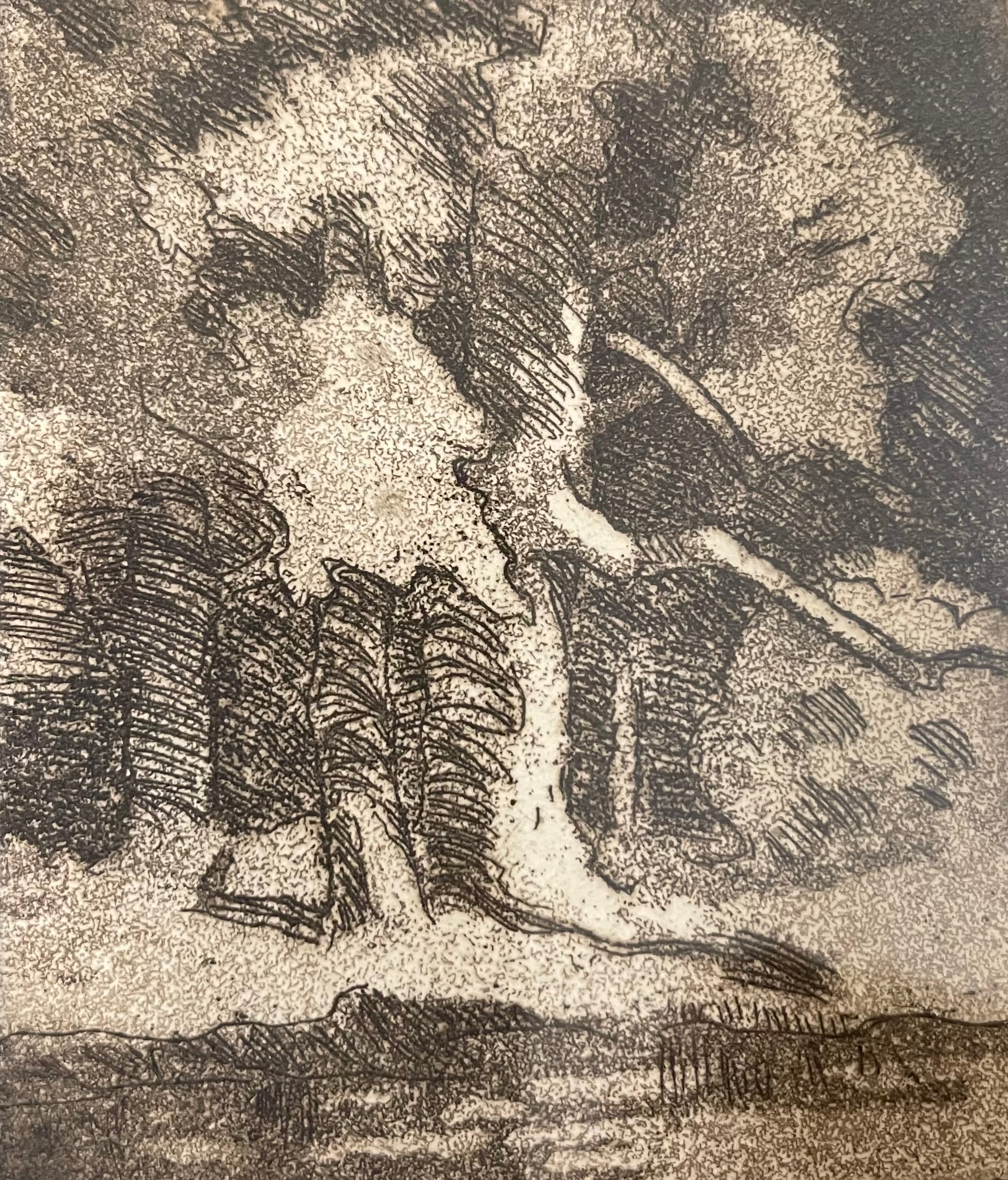 Dark Wooded Landscape — etching by Carl Ahrens