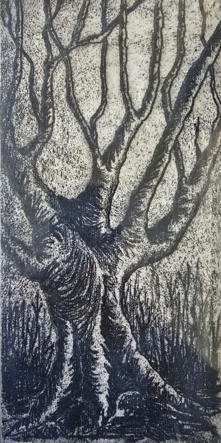 Spooky Tree (Proof) — etching on paper by Carl Ahrens
