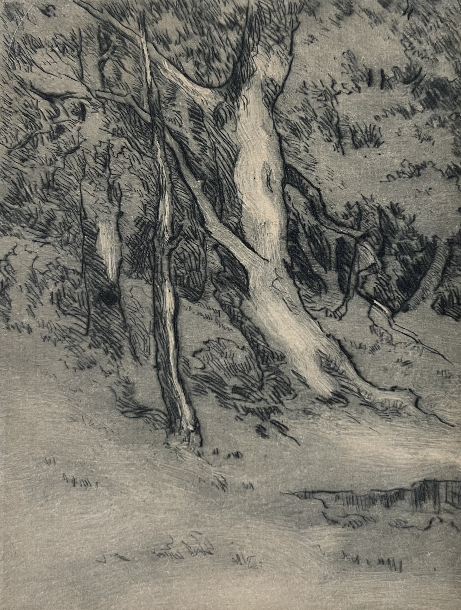 Wooded Landscape with Pond — drypoint by Carl Ahrens