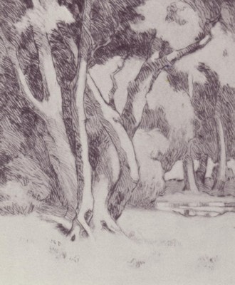 Wooded Landscape with Pool — drypoint by Carl Ahrens
