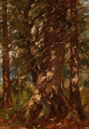 Leith Woods by Carl Ahrens before restoration