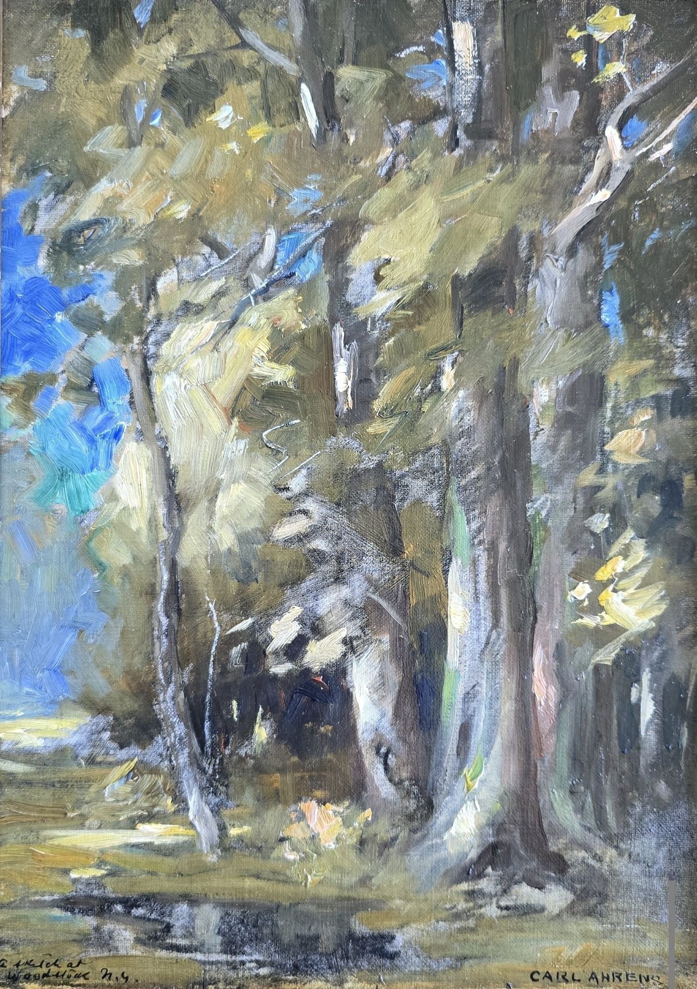 A Sketch at Woodstock, New York restored by Sandu Sindile