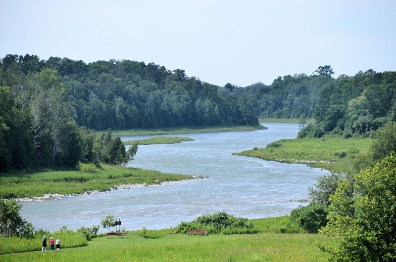 Saugeen River landscape in 2015