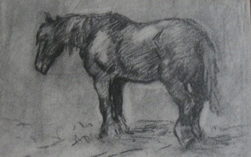 Charcoal sketch of a horse, Carl Ahrens