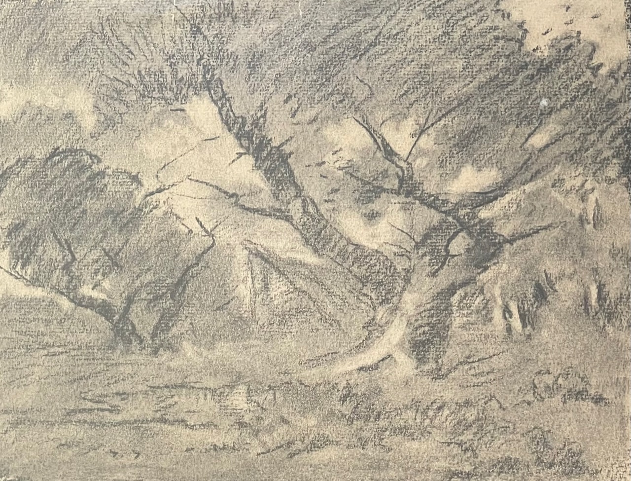Charcoal sketch of a twisted tree, Carl Ahrens