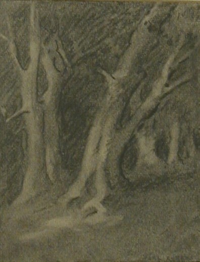 Charcoal sketch of trees on a slope, Carl Ahrens