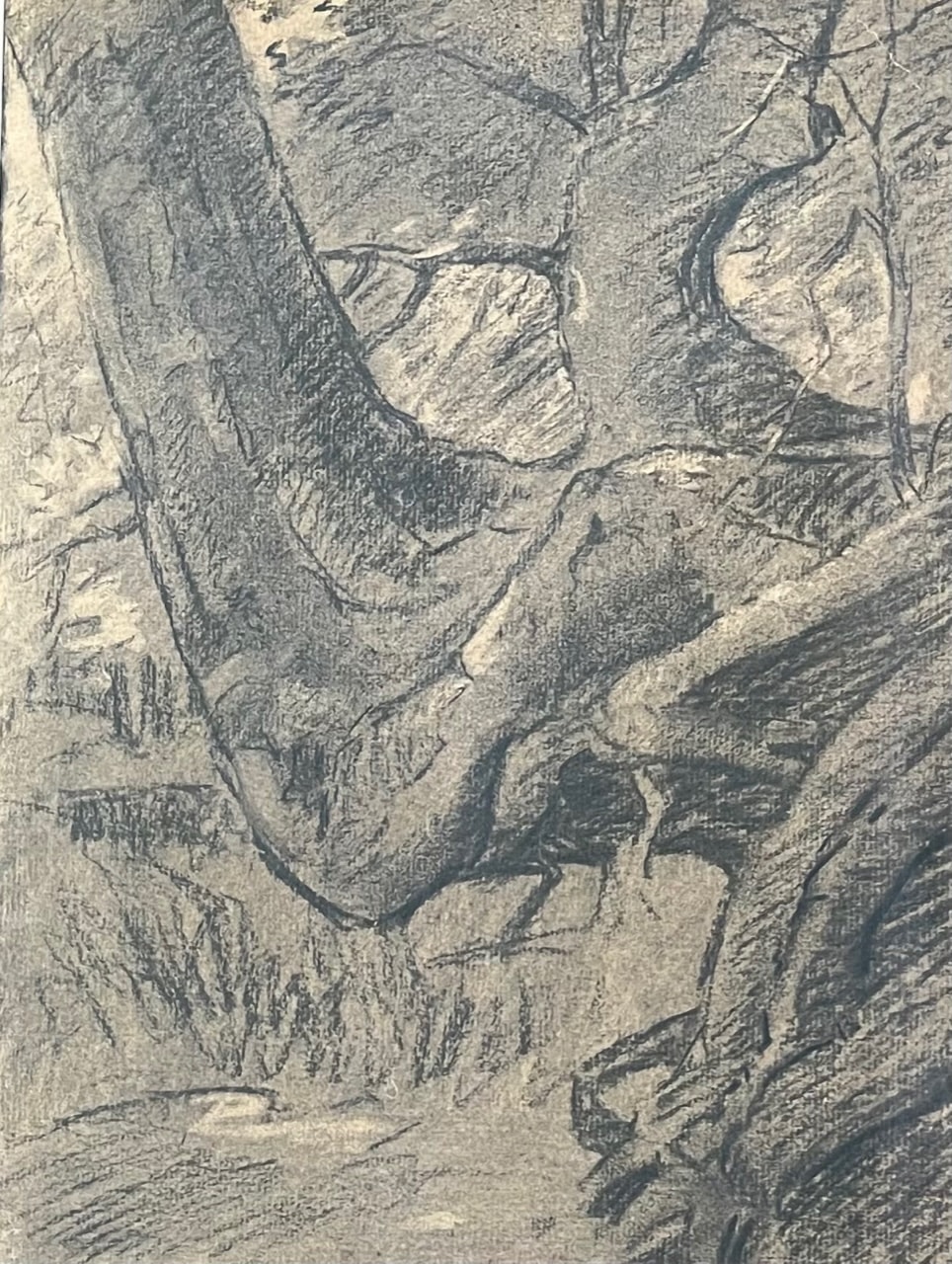 Charcoal sketch of a twisted tree limb, Carl Ahrens