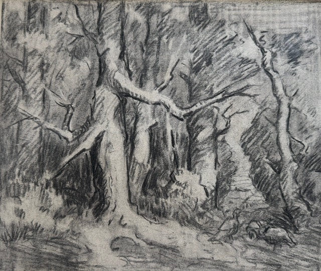 Charcoal sketch of turkeys in the woods, Carl Ahrens