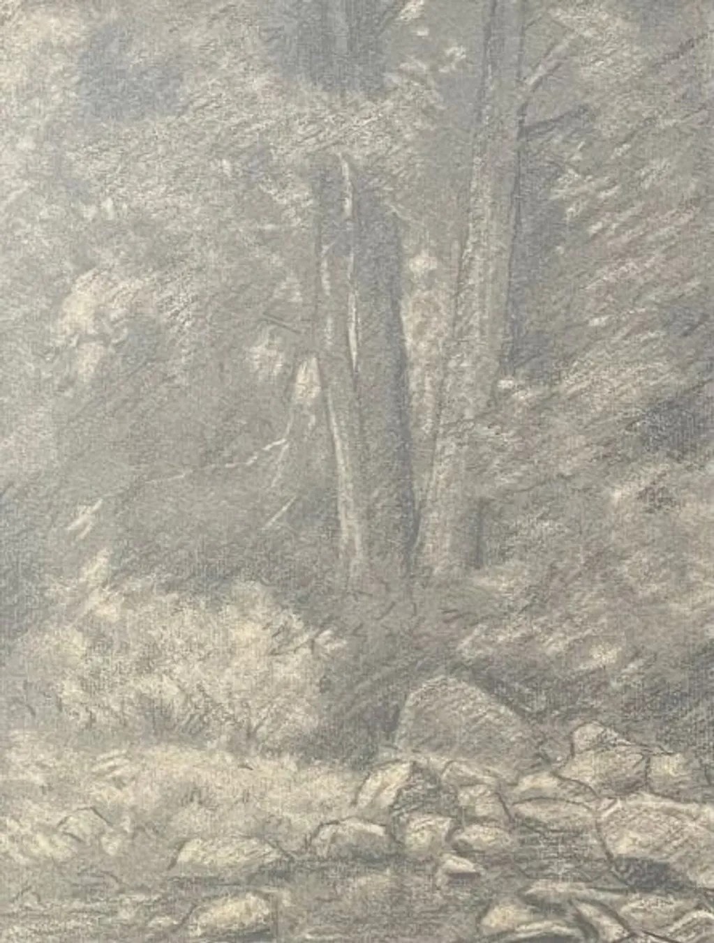 Charcoal sketch of trees by a stream, Carl Ahrens