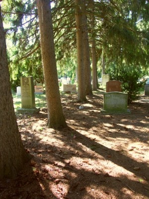 Gravestones among mature trees at Park Lawn Cemetery