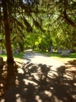 Sunlit path through Park Lawn Cemetery
